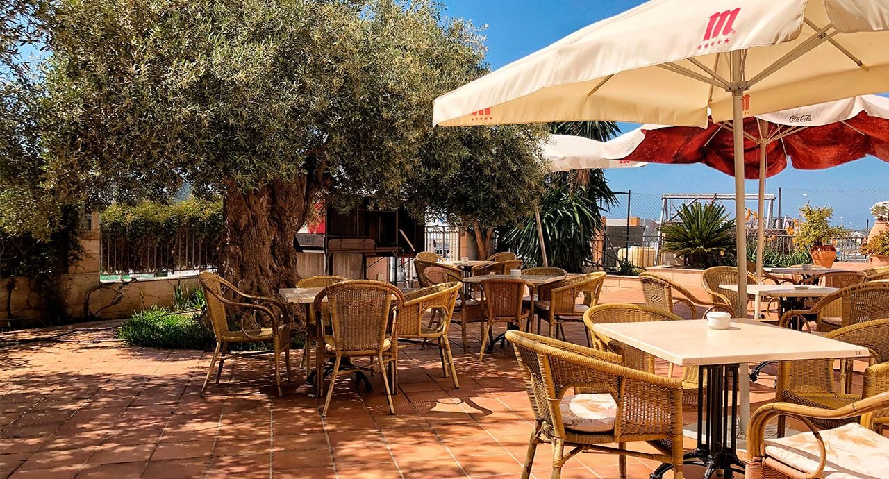 Terraza con olivo, sombrillas y mesas al sol